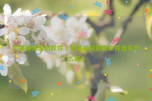 苹果视频剪辑软件（苹果视频剪辑软件音乐怎么弄）