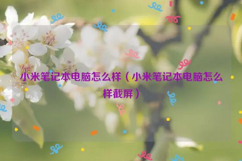 小米笔记本电脑怎么样（小米笔记本电脑怎么样截屏）