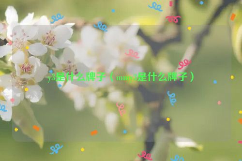 y3是什么牌子（mmy3是什么牌子）