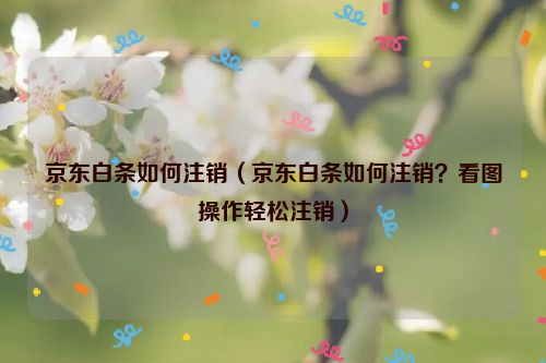 京东白条如何注销（京东白条如何注销？看图操作轻松注销）