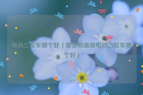 电动三轮车哪个好（鲁客和盛昊电动三轮车哪个好）