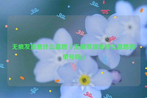 无痕发货是什么意思（无痕发货是什么意思有单号吗）