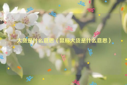 大货是什么意思（鼠标大货是什么意思）