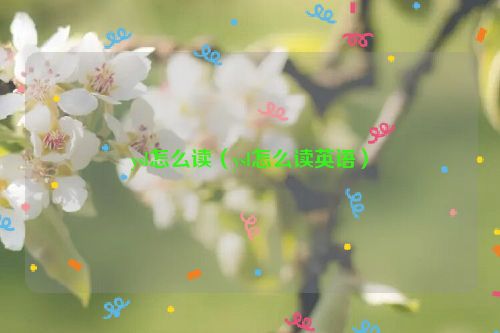 ysl怎么读（ysl怎么读英语）