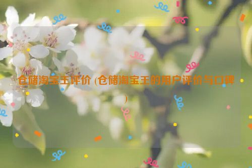 仓储淘宝王评价 (仓储淘宝王的用户评价与口碑)