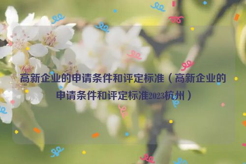 高新企业的申请条件和评定标准（高新企业的申请条件和评定标准2023杭州）