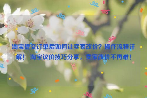 淘宝提交订单后如何让卖家改价？操作流程详解！ 淘宝议价技巧分享，卖家改价不再难！