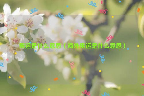 集运是什么意思（海外集运是什么意思）