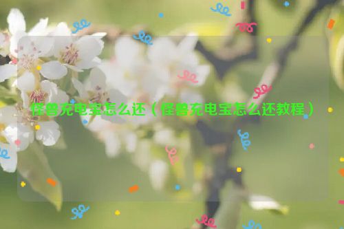 怪兽充电宝怎么还（怪兽充电宝怎么还教程）