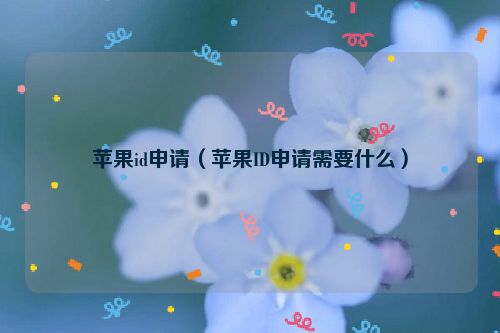 苹果id申请（苹果ID申请需要什么）