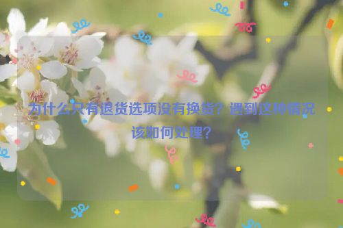 为什么只有退货选项没有换货？遇到这种情况该如何处理？