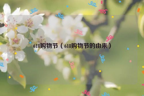 618购物节（618购物节的由来）