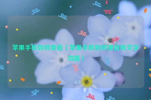 苹果手机如何录音（苹果手机如何录音转文字功能）