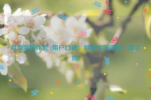 对淘宝的评价 (用户口碑：对淘宝的评价一目了然)