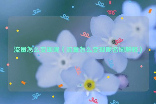 流量怎么变现呢（流量怎么变现呢名词解释）