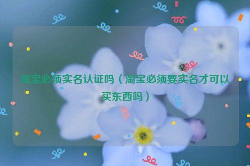 淘宝必须实名认证吗（淘宝必须要实名才可以买东西吗）