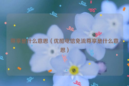 尊享是什么意思（优酷电信免流尊享是什么意思）