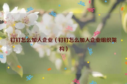 钉钉怎么加入企业（钉钉怎么加入企业组织架构）