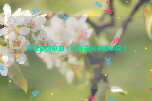 戏腔古风歌曲（戏腔古风歌曲歌词）