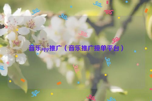 音乐app推广（音乐推广接单平台）