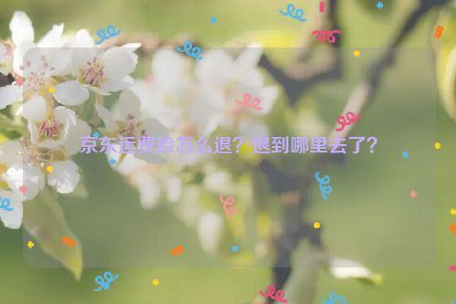 京东运费险怎么退？退到哪里去了？