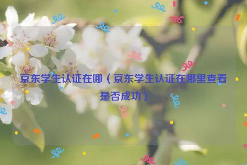 京东学生认证在哪（京东学生认证在哪里查看是否成功）