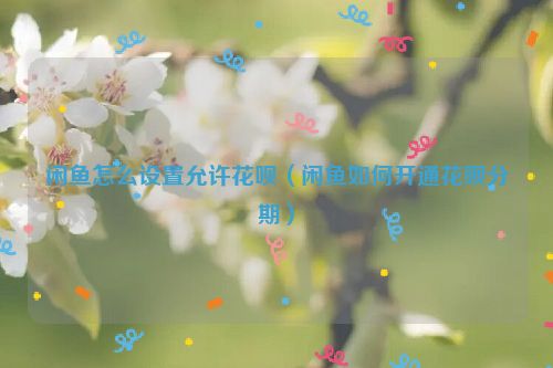 闲鱼怎么设置允许花呗（闲鱼如何开通花呗分期）