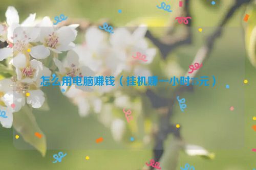 怎么用电脑赚钱（挂机赚一小时75元）