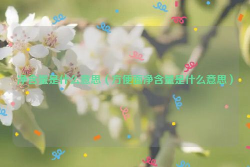 净含量是什么意思（方便面净含量是什么意思）