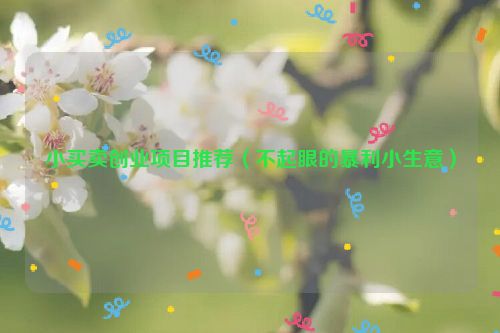 小买卖创业项目推荐（不起眼的暴利小生意）