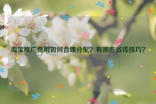 淘宝推广费用如何合理分配？有哪些省钱技巧？