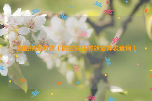 韵达快递时效（韵达快递时效估算表查询）