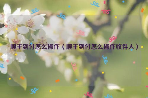 顺丰到付怎么操作（顺丰到付怎么操作收件人）