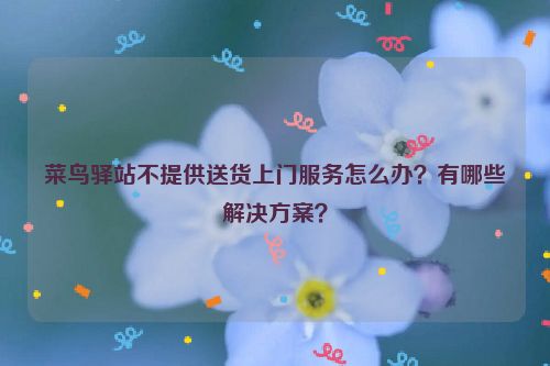 菜鸟驿站不提供送货上门服务怎么办？有哪些解决方案？