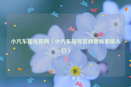 小汽车摇号官网（小汽车摇号官网查询系统入口）