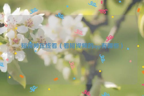 短视频在线看（看短视频的app有哪些）