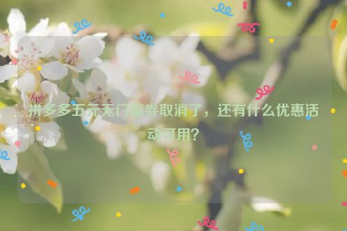 拼多多五元无门槛券取消了，还有什么优惠活动可用？