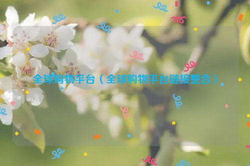 全球购物平台（全球购物平台链接整合）