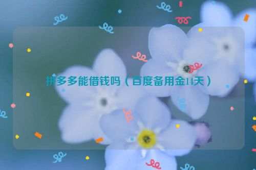 拼多多能借钱吗（百度备用金14天）