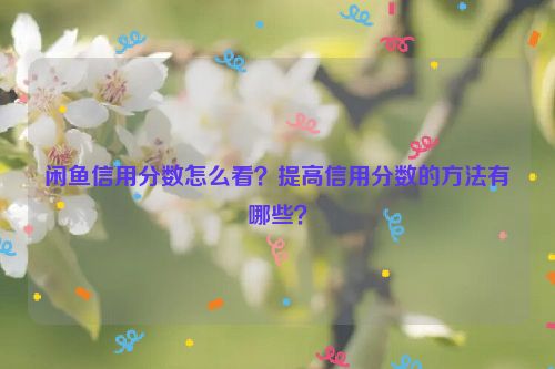 闲鱼信用分数怎么看？提高信用分数的方法有哪些？