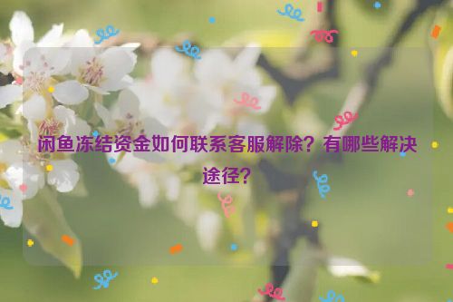 闲鱼冻结资金如何联系客服解除？有哪些解决途径？