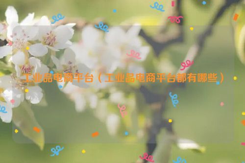 工业品电商平台（工业品电商平台都有哪些）