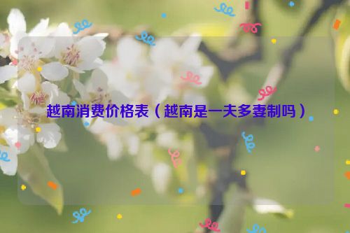 越南消费价格表（越南是一夫多妻制吗）