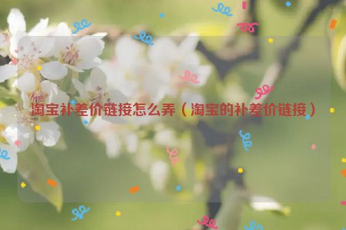 淘宝补差价链接怎么弄（淘宝的补差价链接）