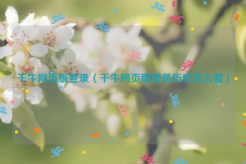 千牛网页版登录（千牛网页版登录历史怎么看）