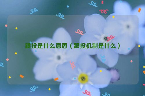 跟投是什么意思（跟投机制是什么）