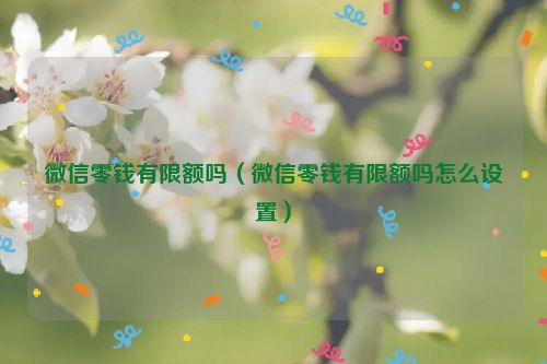 微信零钱有限额吗（微信零钱有限额吗怎么设置）