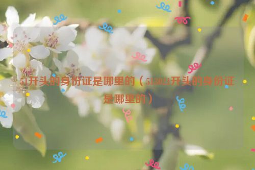 51开头的身份证是哪里的（513021开头的身份证是哪里的）