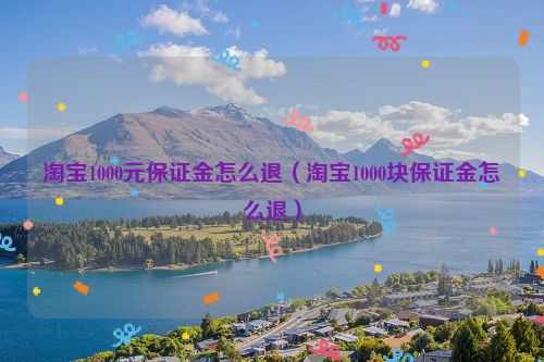 淘宝1000元保证金怎么退（淘宝1000块保证金怎么退）