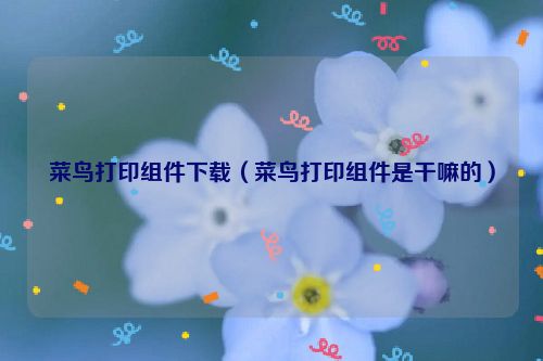 菜鸟打印组件下载（菜鸟打印组件是干嘛的）